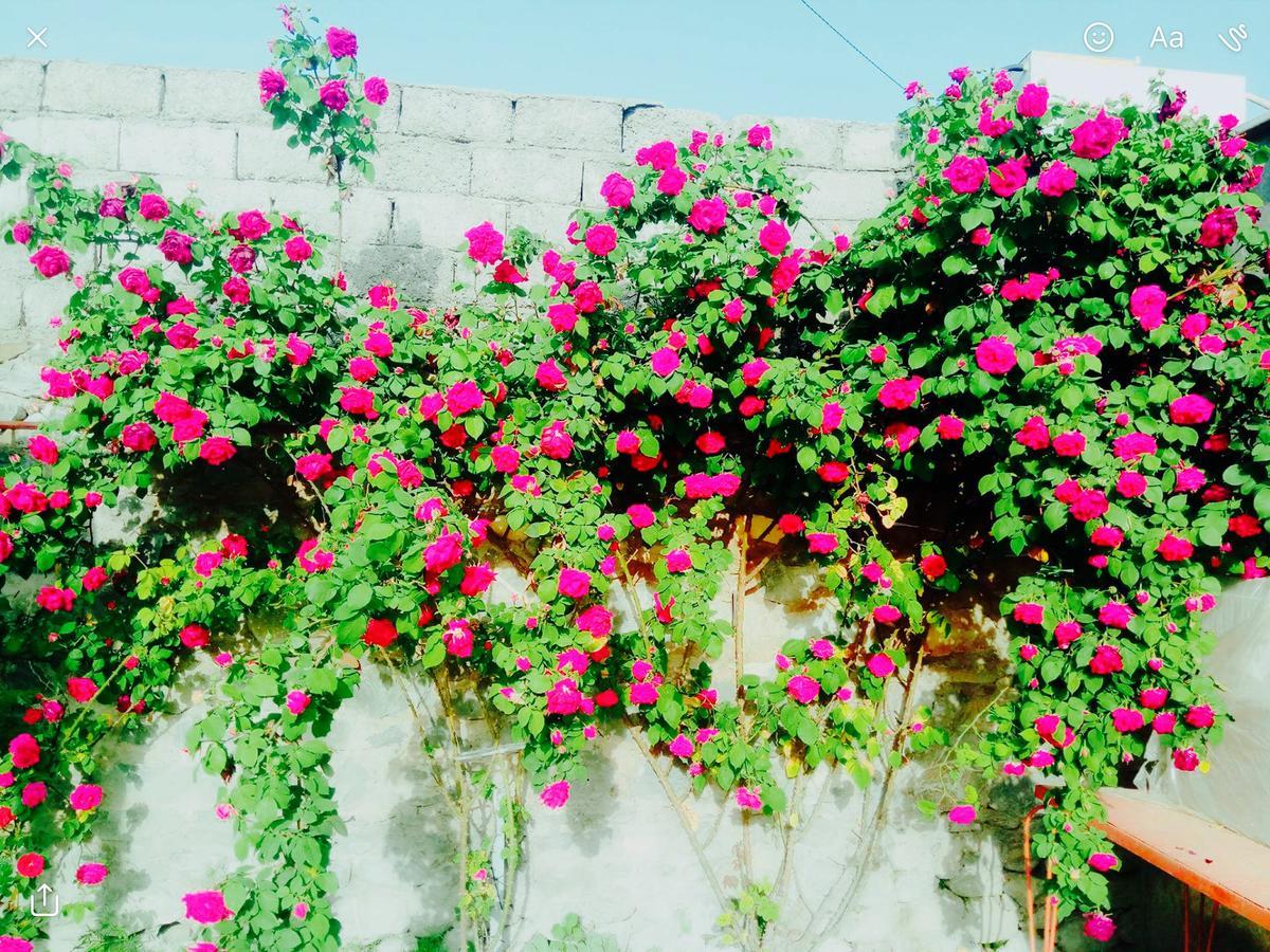 לינה וארוחת בוקר Şǝki House On Ashiq Cuma Street 8 מראה חיצוני תמונה